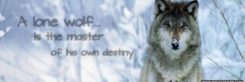 Tophs5's profile banner image