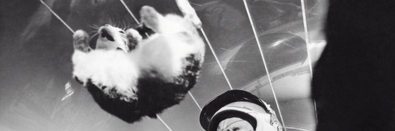 Erhardt Graeff banner