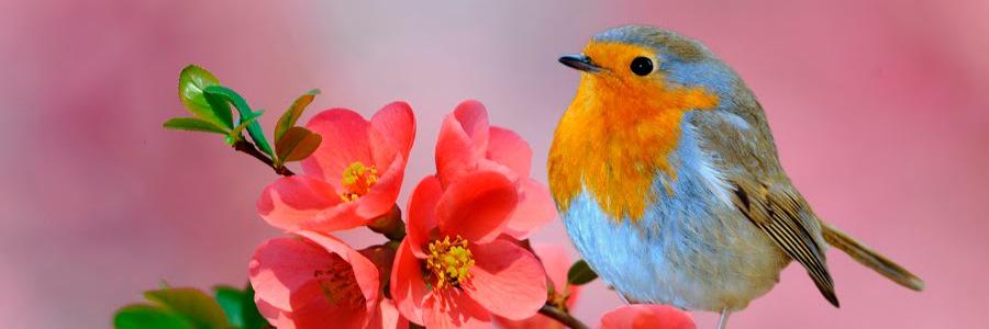 MrsRyddles's profile banner image