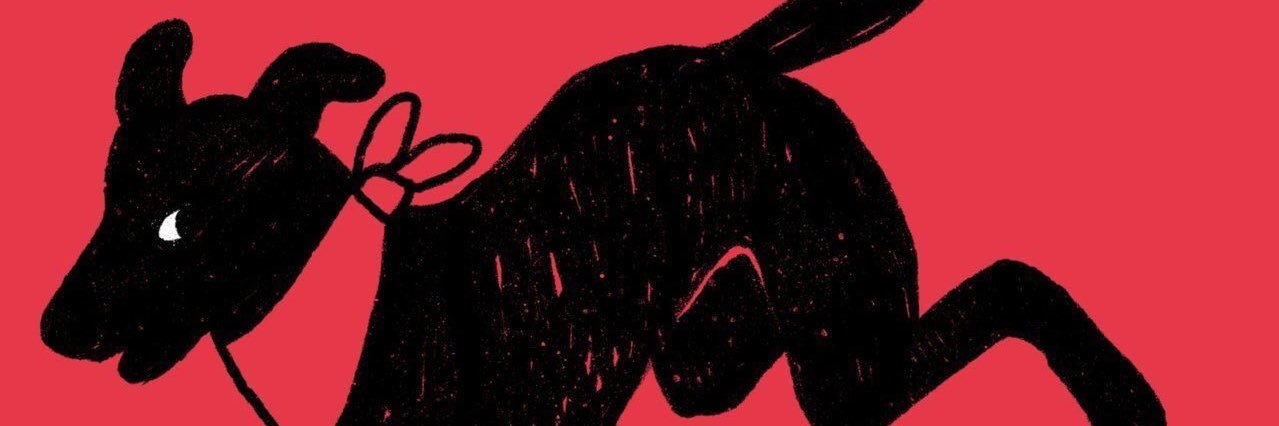 Fernanda García banner