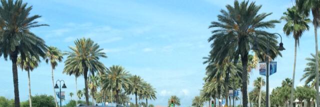 MaKenzie Powers banner