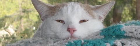 BestBookPromos banner