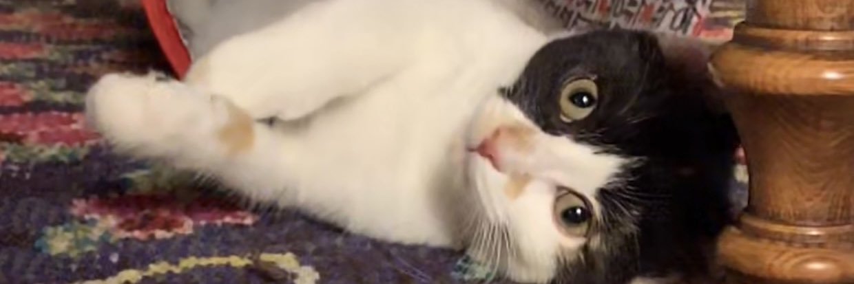 Cherie L Burrow banner