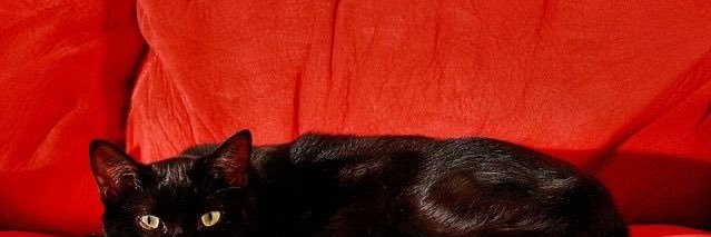 1bru_'s profile banner image