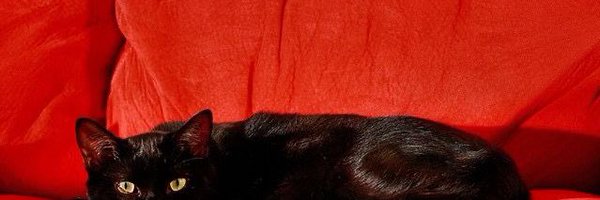 1bru_ Profile Banner