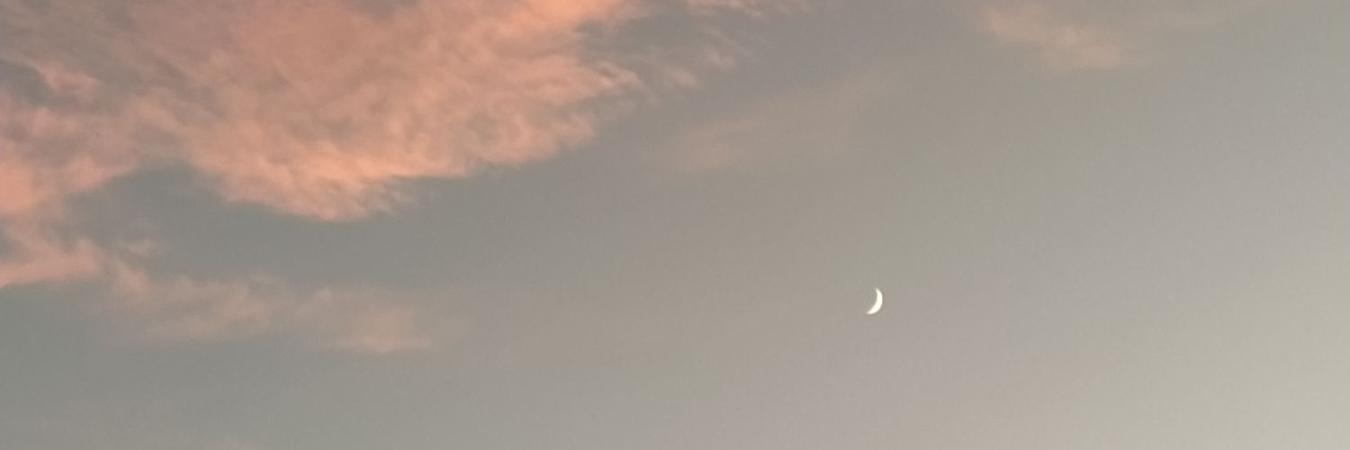 Ireneaslr's profile banner image