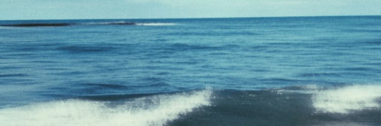 iremcinarr's profile banner image