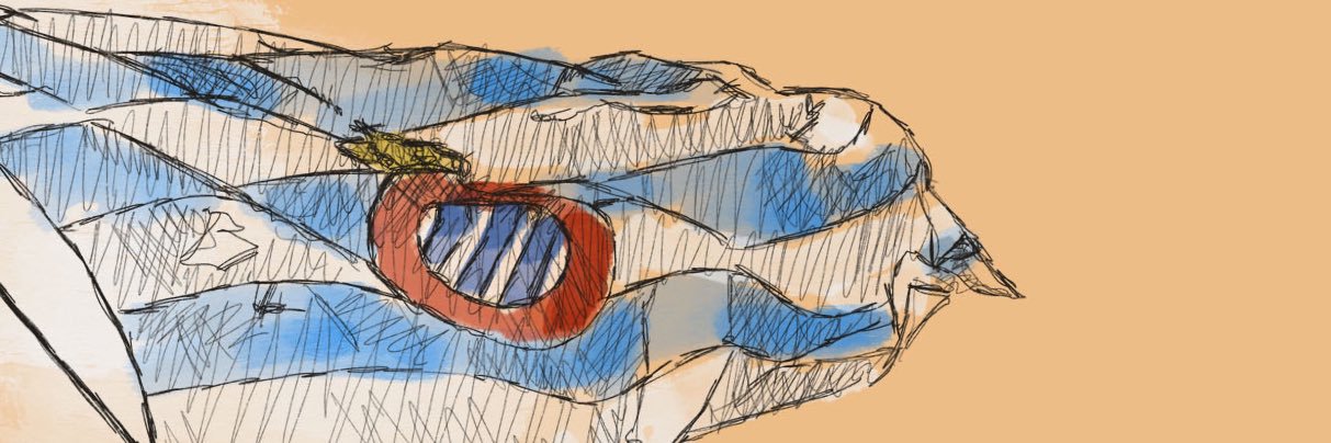 rosaardid's profile banner image