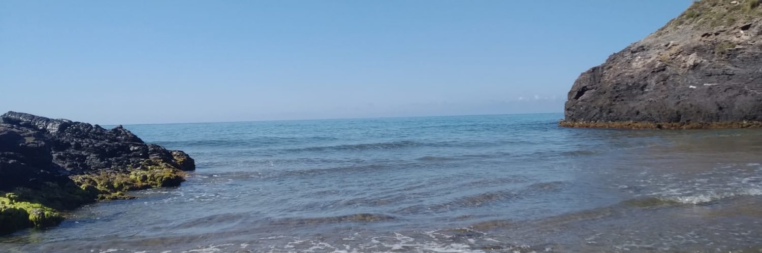 jeibot's profile banner image