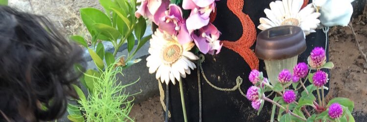 mahdimarhoon's profile banner image
