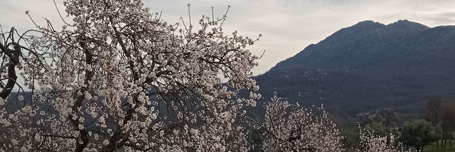Rielopez_35's profile banner image