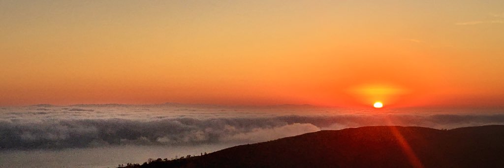 JackieRobaina's profile banner image
