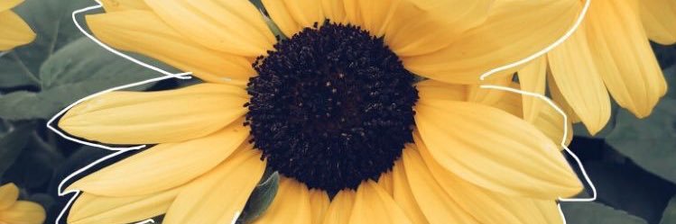 Florgoomez's profile banner image