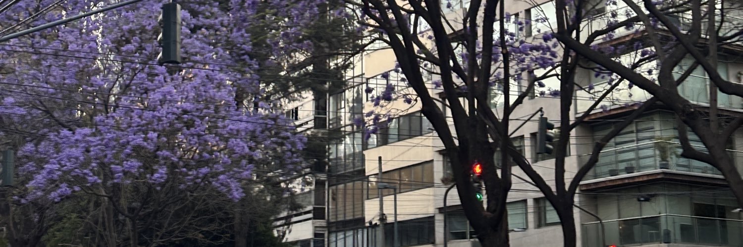 israelsit0's profile banner image