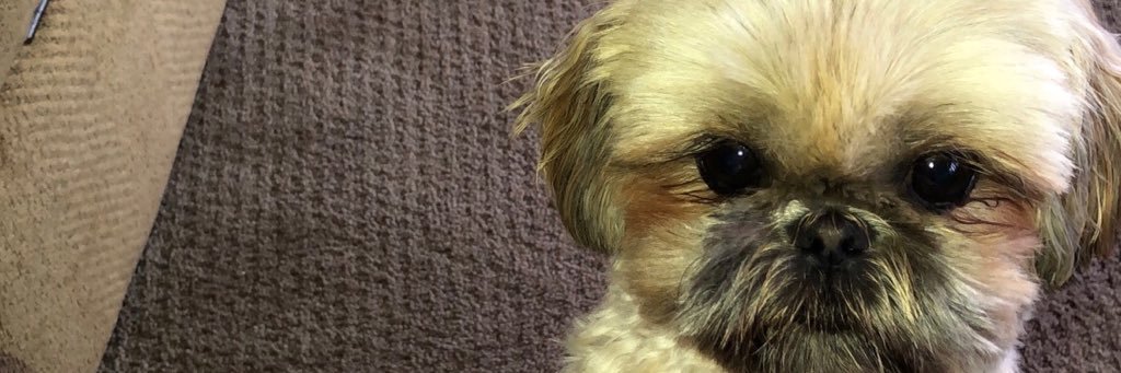 chels304's profile banner image
