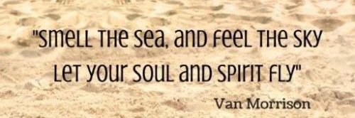 Beth Cipriano banner