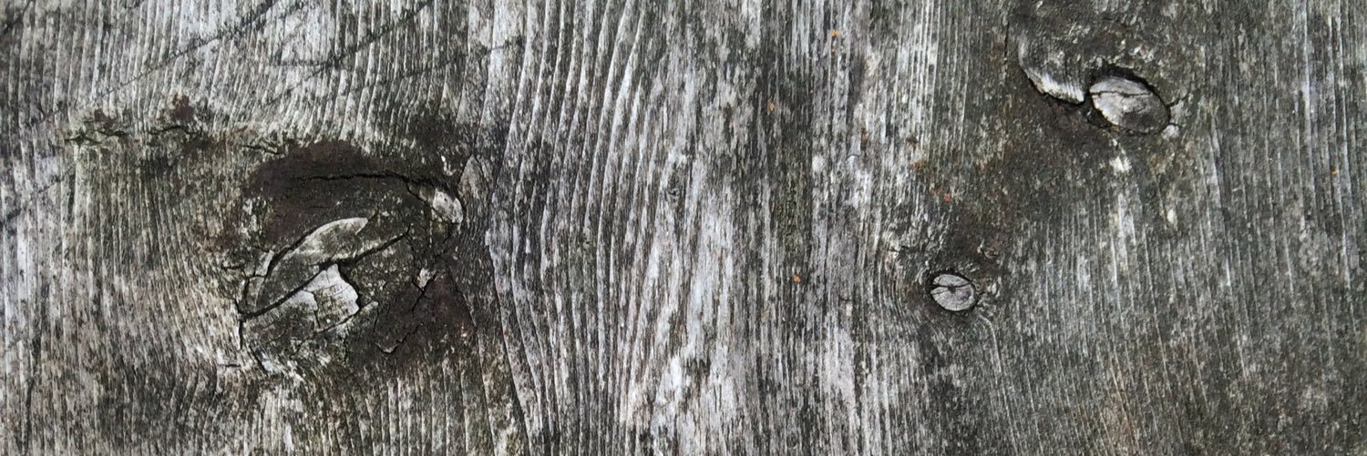 AnnsofiM's profile banner image