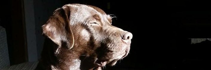 ericross101's profile banner image