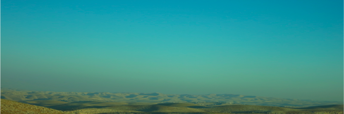 shojlin's profile banner image