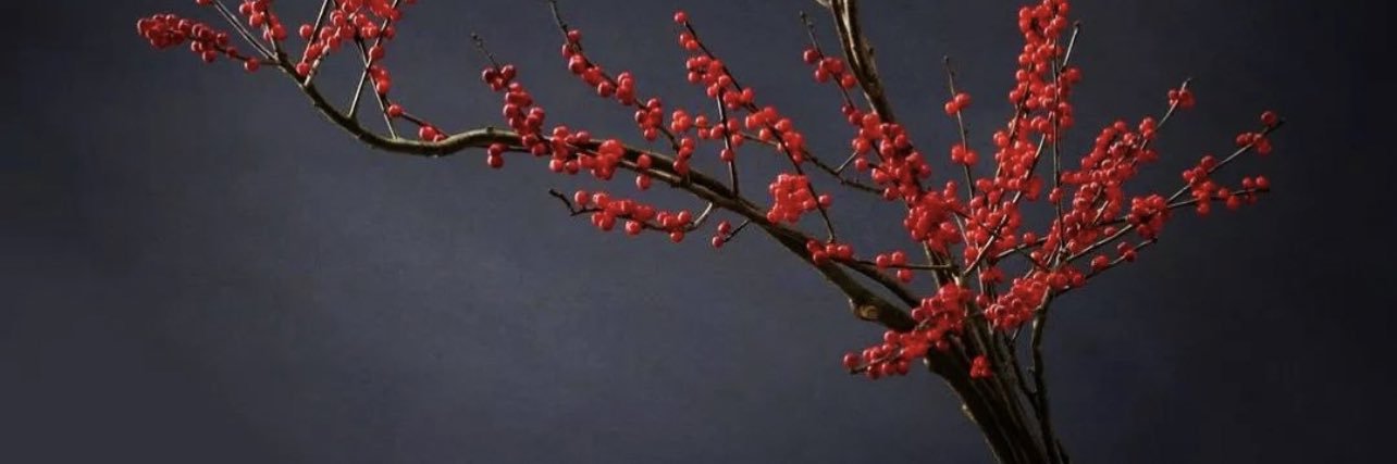 SONDOS_at's profile banner image
