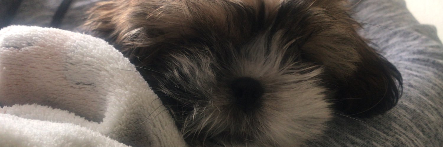 Sebass_Torres's profile banner image