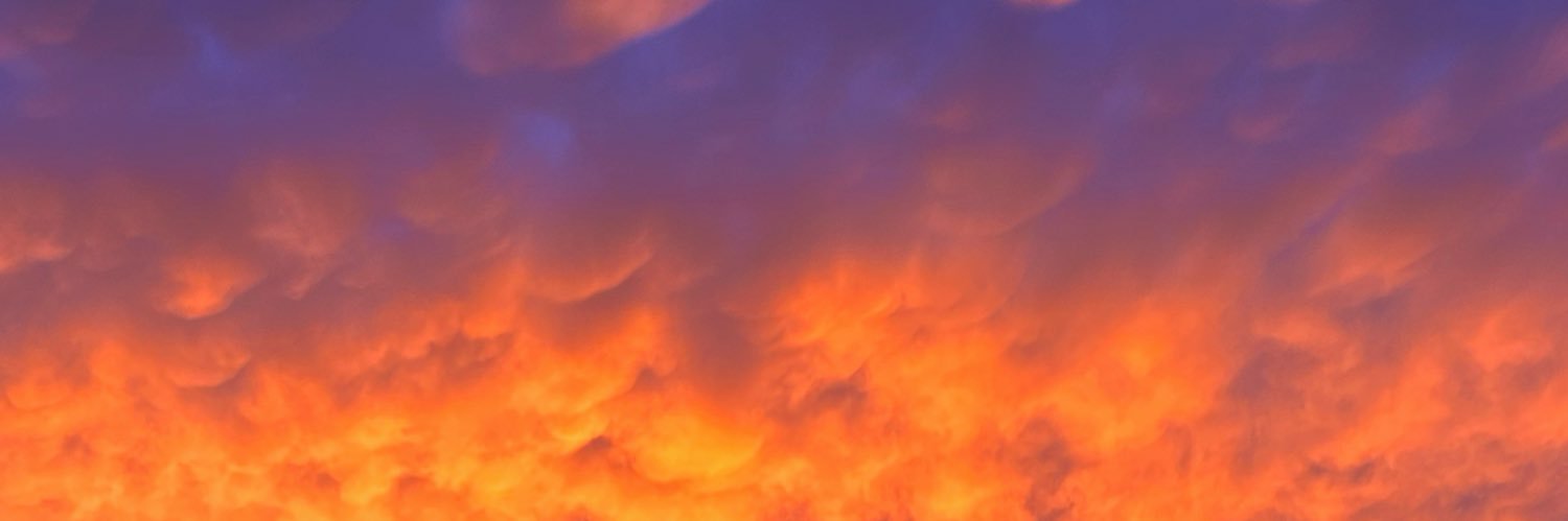 bertimolo's profile banner image
