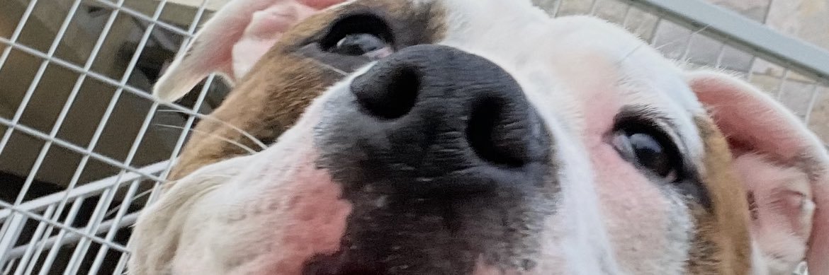 ashleeyydee's profile banner image