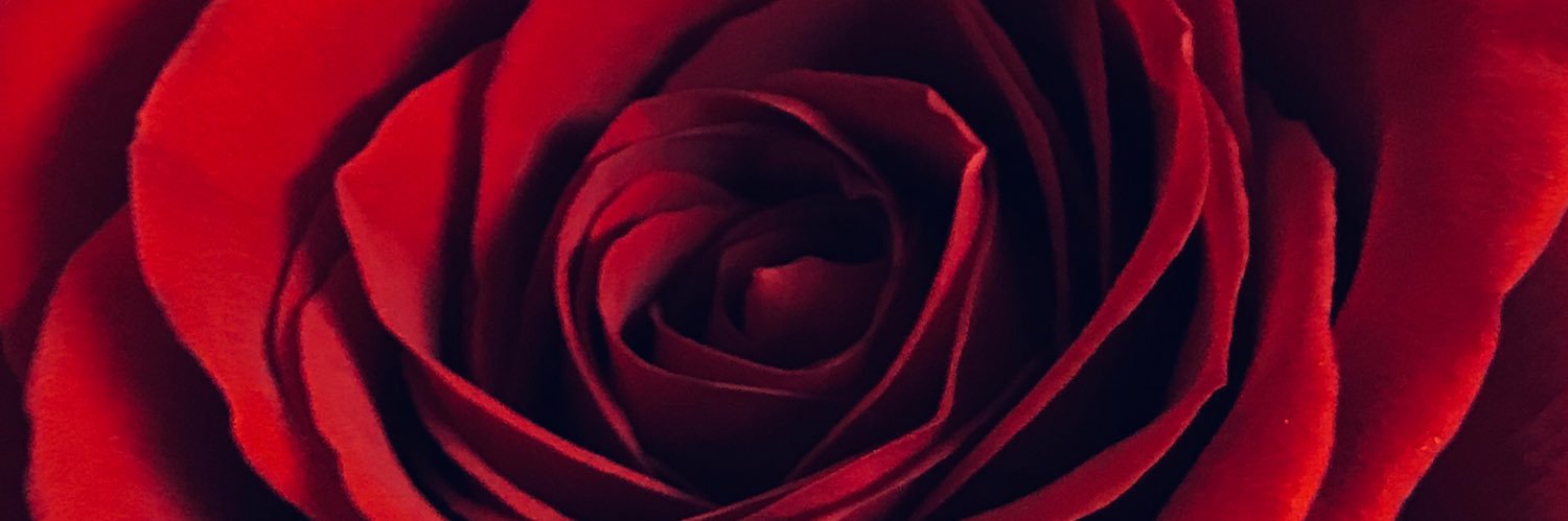 babigirl2398's profile banner image