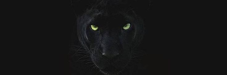 sigit_wb's profile banner image