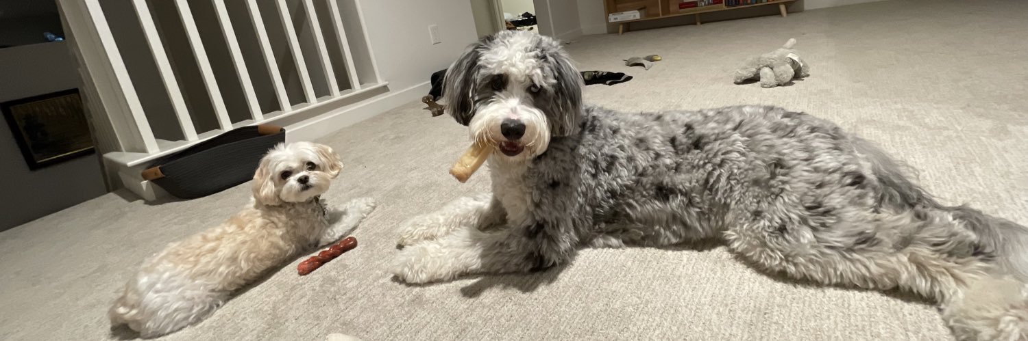 𝚌.𝚓. 𝚝𝚞𝚝𝚝𝚕𝚎 banner