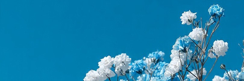 nattadefotfot's profile banner image