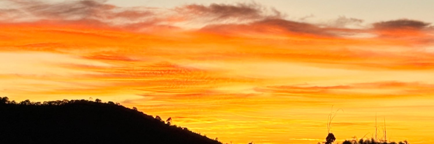 miviVF's profile banner image