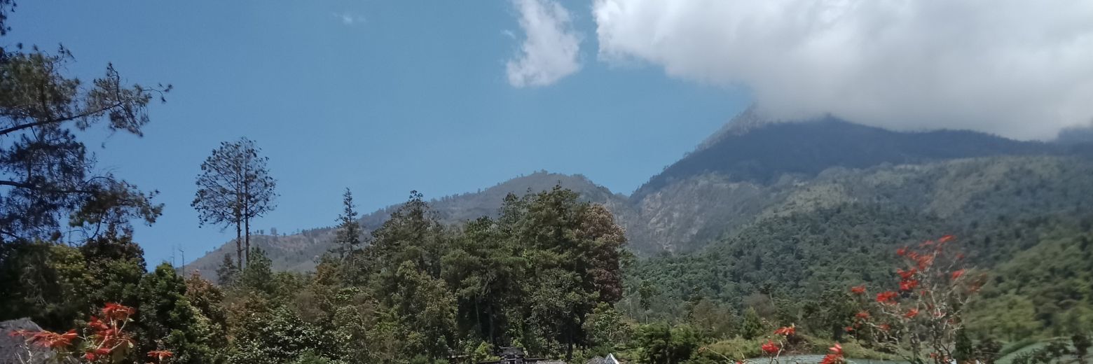 nasanas__'s profile banner image