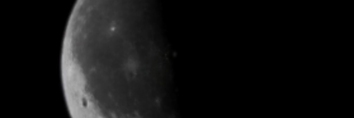 amorflores_'s profile banner image