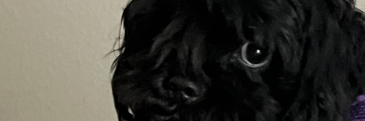 MsDeeds banner