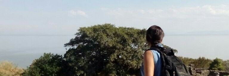 laumar311's profile banner image