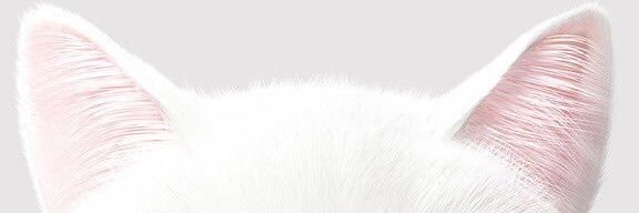 CheJijah's profile banner image