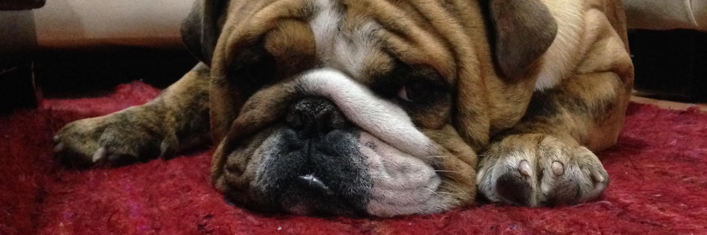 albertoesparza's profile banner image