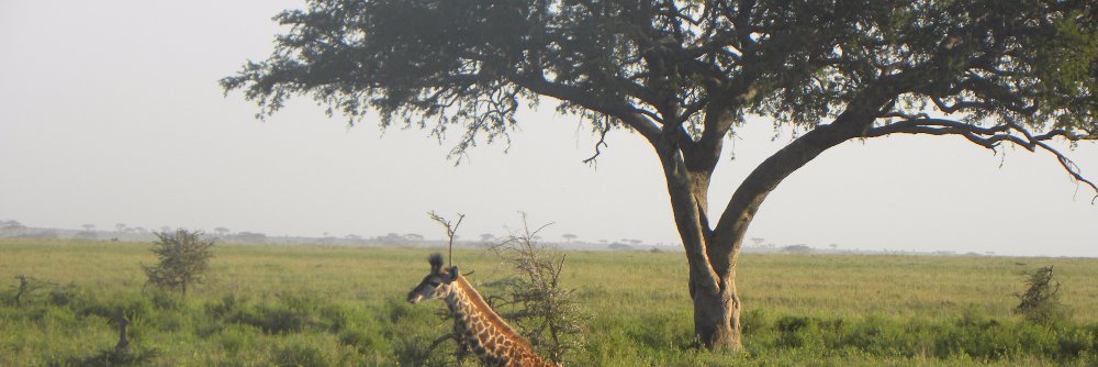 BenDean1122's profile banner image
