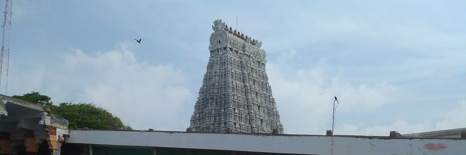 ddkrishnn's profile banner image