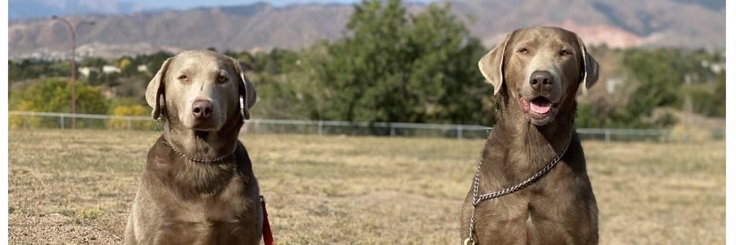 HikerChick14's profile banner image