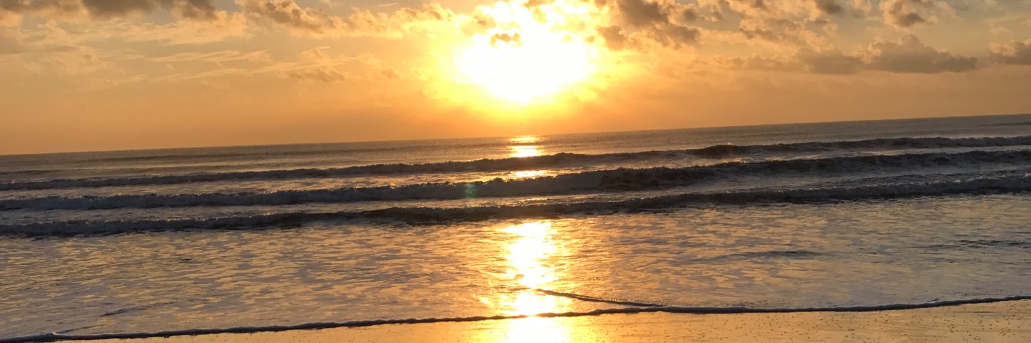 8118A's profile banner image