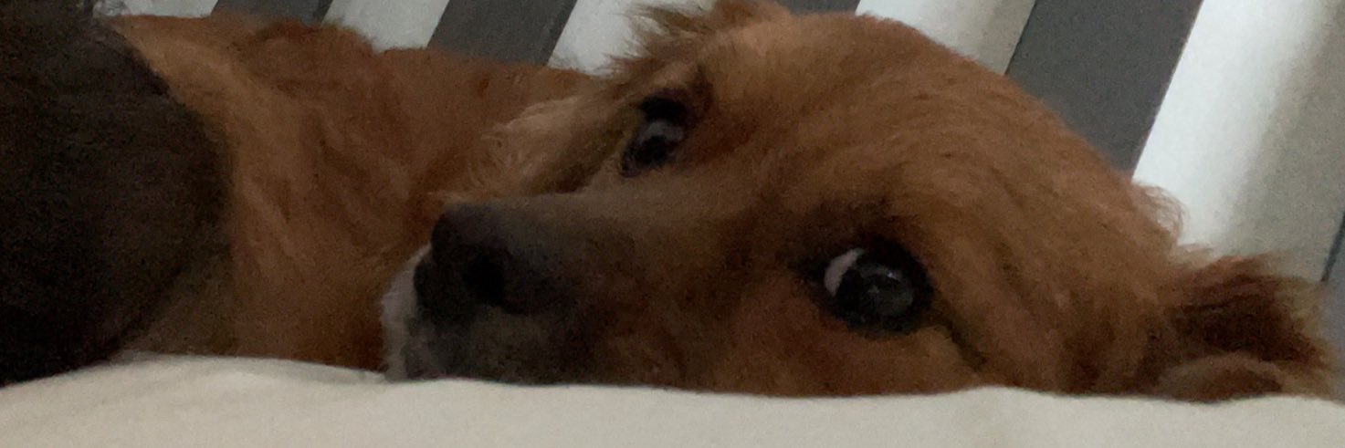 danielleeee_g's profile banner image