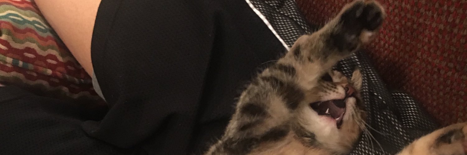 meeshmeower's profile banner image