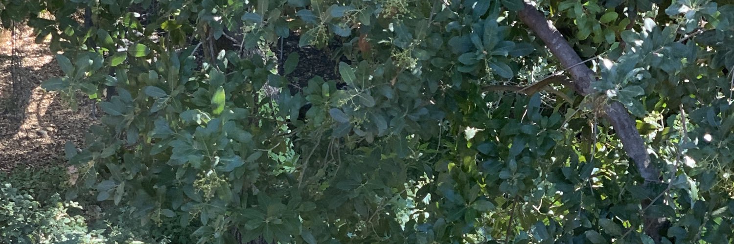 JantzHaus🙏🏻🇺🇸 banner