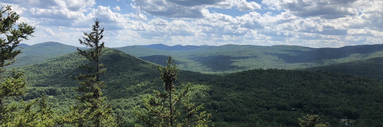 bmvwood's profile banner image