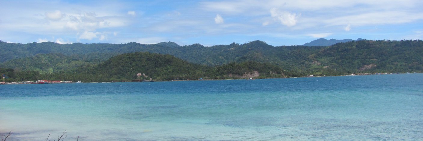 linggapermesti's profile banner image