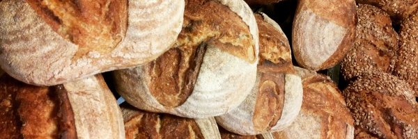 WildBreadHead Profile Banner