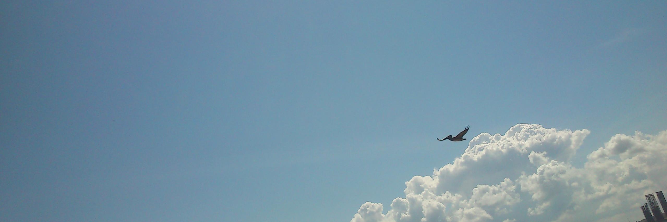 Vivi_R11's profile banner image