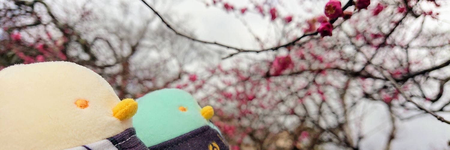 kato8263's profile banner image
